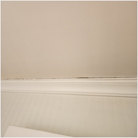 집수리대마왕 픽스원 PC 갤러리 17